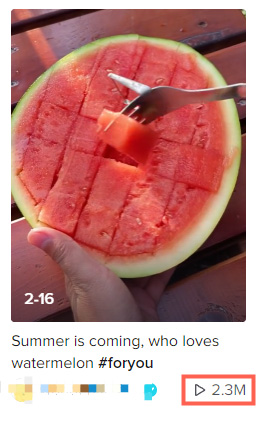 Portable Watermelon Knife
