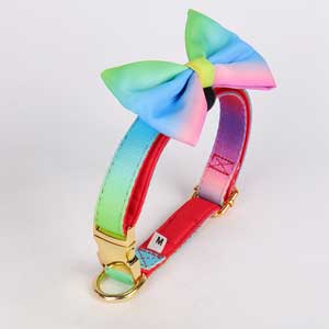 Rainbow Pet Collar