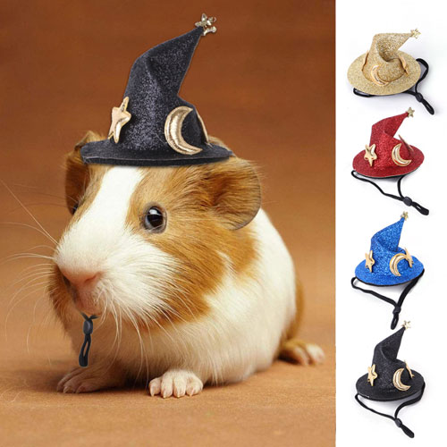 Costumes for Small Animals