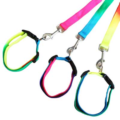 Rainbow dog harness & leash