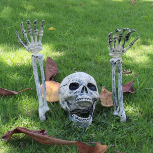 Halloween Skeleton