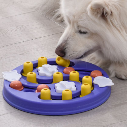 Dog Puzzle Toys