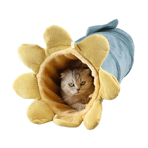 Túnel-cama para gato