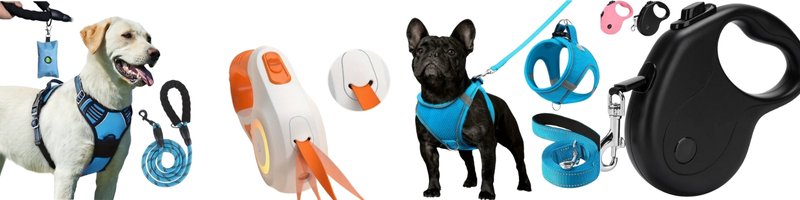 dog leash