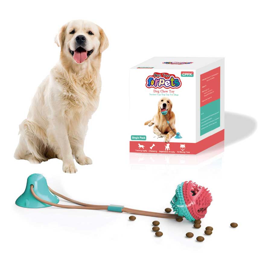 Dog Training Toys