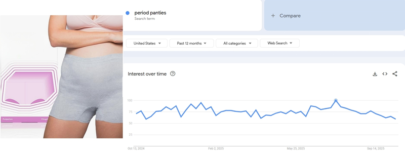 Disposable Period Panties