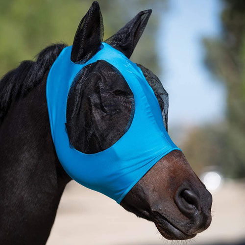Cavalos também podem ter acessórios bonitos, como máscaras, rabos de cavalo, arreios, etc.