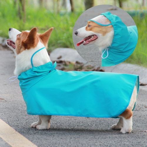 roupa de chuva para cãe