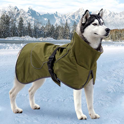 casaco de inverno para cãe