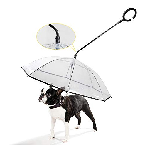 transparent dog umbrella