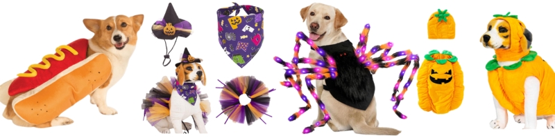 dog halloween costumes