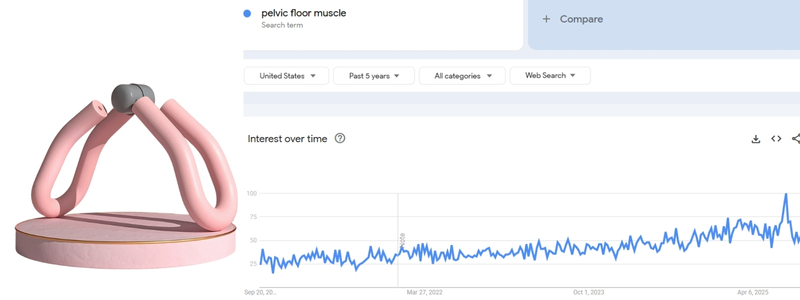 Pelvic floor muscle trainer