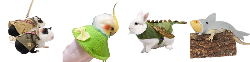 Costumes for Small Animals