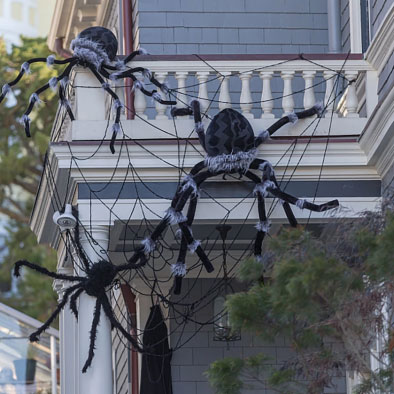 Halloween Spider